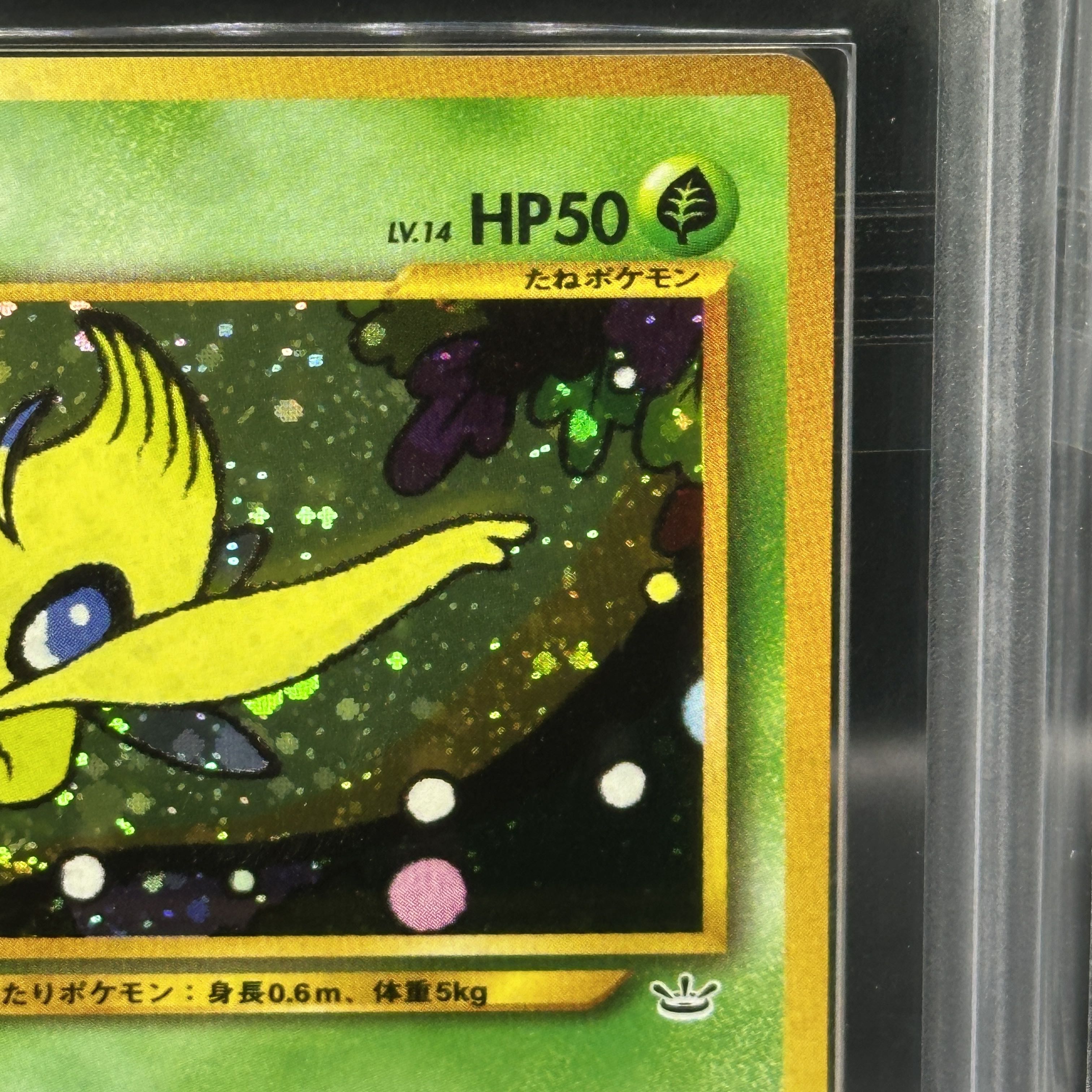 【ARS10】セレビィ プレミアムファイル 旧裏  1枚