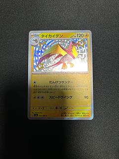 タイカイデン S 251/190 1枚