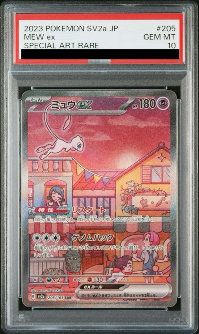 PSA10] Mewex SAR 205/165