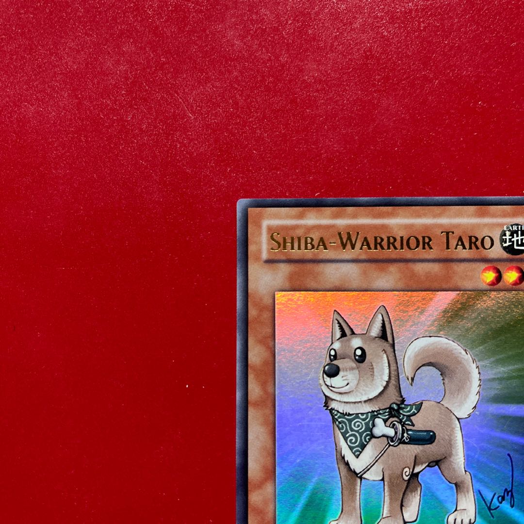 Yo 2 Yr 1 遊戯王 柴戦士タロ 【YAP1】海外版 ウルトラ 1枚