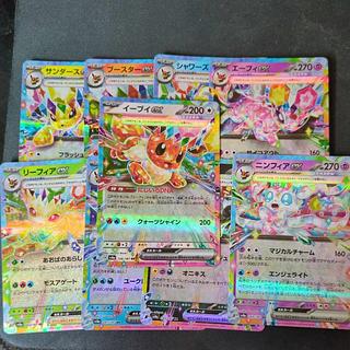 サンダース スター」の激安通販 | magi サンダース スター」の激安通販 | magi