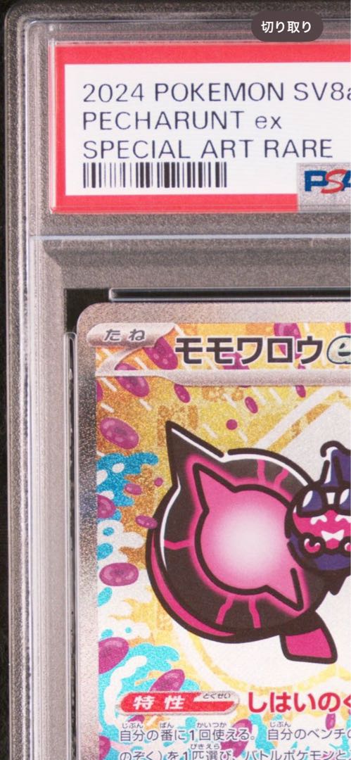 PSA100 モモワロウex SAR テラスタルフェスの通販 シャタ PSA100 モモワロウex SAR テラスタルフェスの通販 シャタ