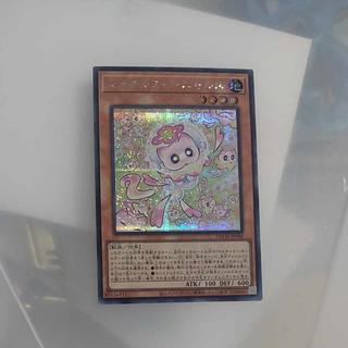 【木林堂】 【木林堂】  マルチャミーニャルス　シークレットレア 1枚