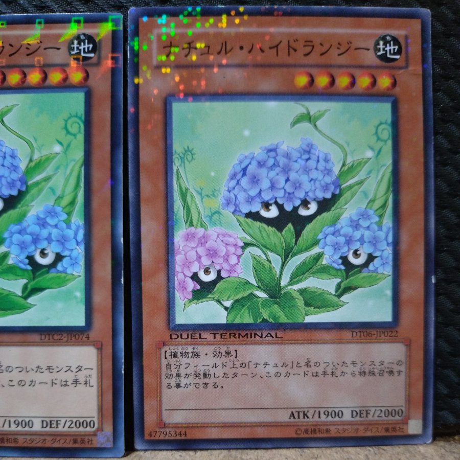 【ぽぽたん】遊戯王  2245  ナチュル・ハイドランジー   ノーマル  ２枚 2枚