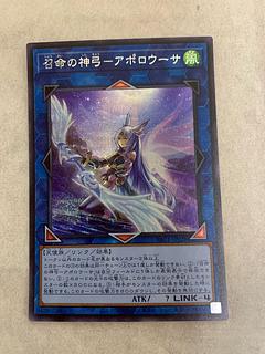 Called Divine Bow Apolousa Price reduced until 2/18