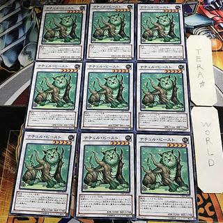 Monk of the Tenyi RIRA 1 Normal 9-card set Tera
