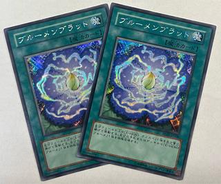 Rose Bud Secret Rare Set of 2 Siku