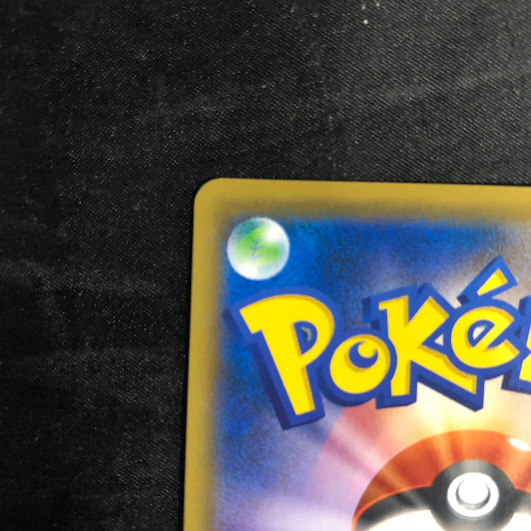 パルスワンV RR 031/070