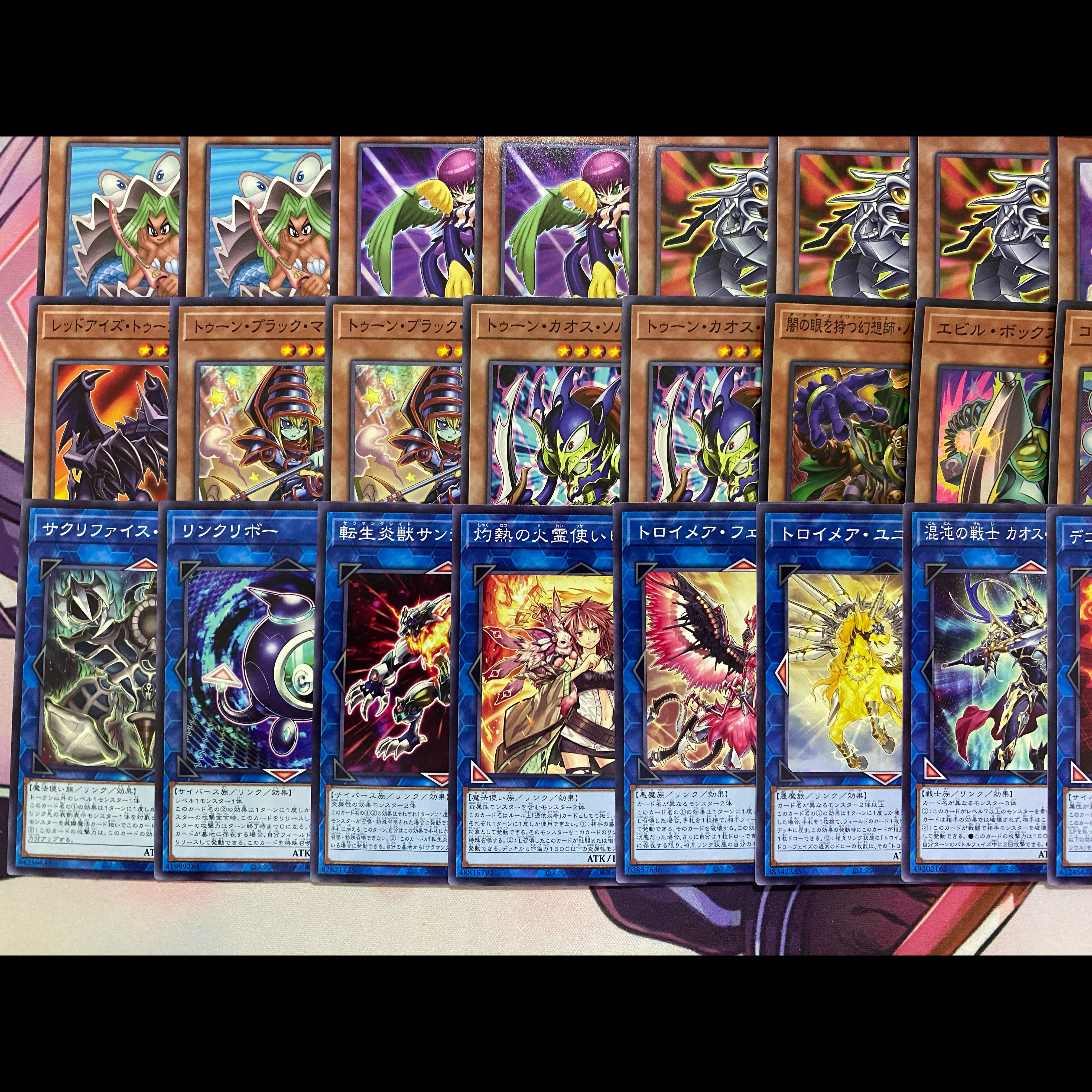 003　遊戯王　トゥーン　本格構築済みデッキ 1枚