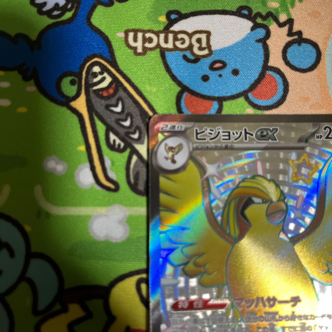 Pidgeotex SSR 335/190 1枚