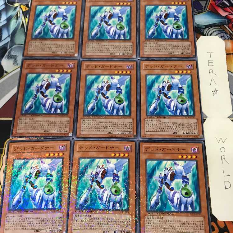 1 Duel Terminal, Effect, Set of 9, Tera. 9枚