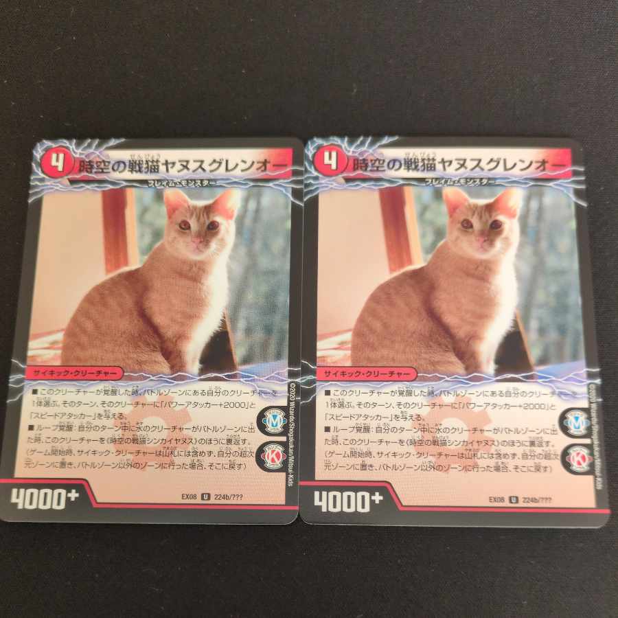 時空の戦猫シンカイヤヌス｜時空の戦猫ヤヌスグレンオー U 224a/???｜224b/??? 2枚
