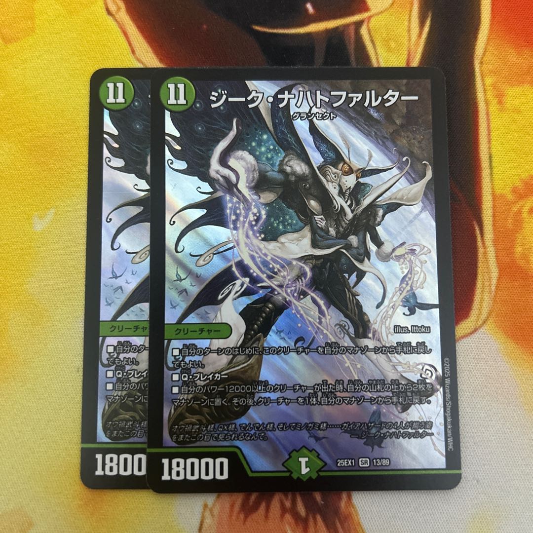 ジーク・ナハトファルター SR 13/89