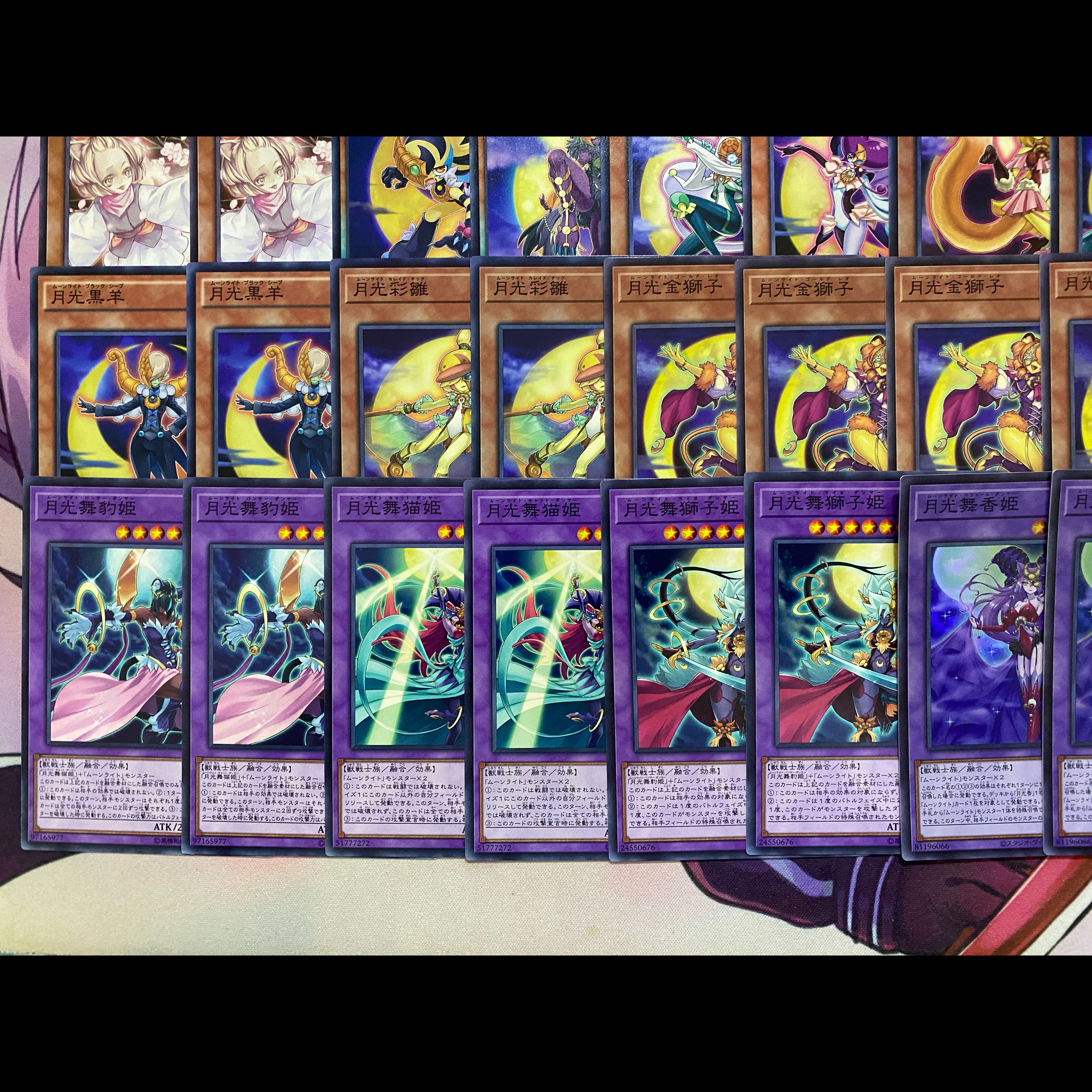24時間以内発送】遊戯王 月光 ムーンライト 大会構築デッキ 月光融合 1