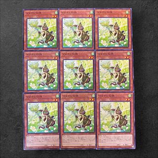 8641 [King of Games] Matatabi Sentaku 9-card set