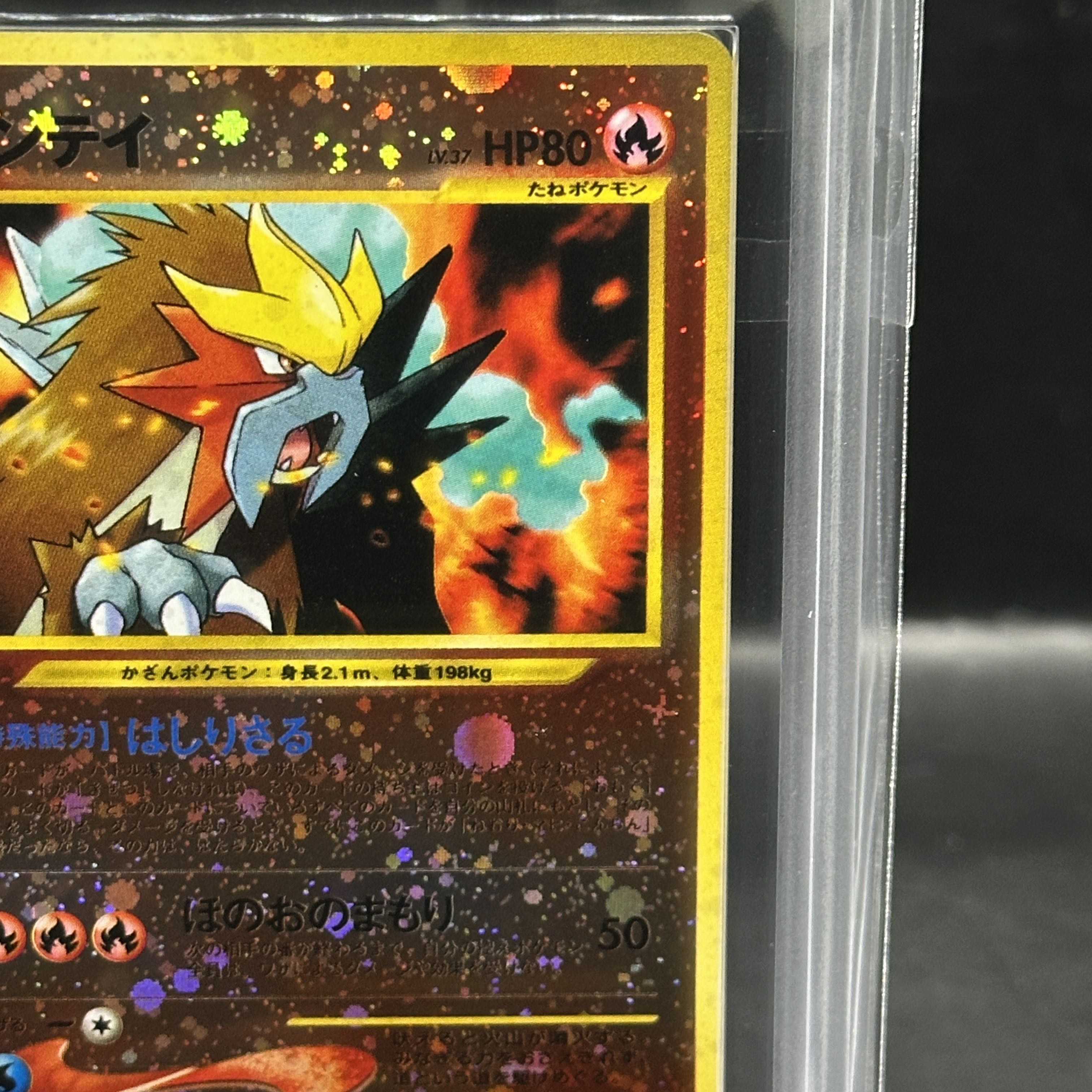 【ARS10】エンテイ プレミアムファイル2 旧裏