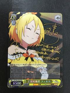 王選候補者 フェルト(サイン入り)