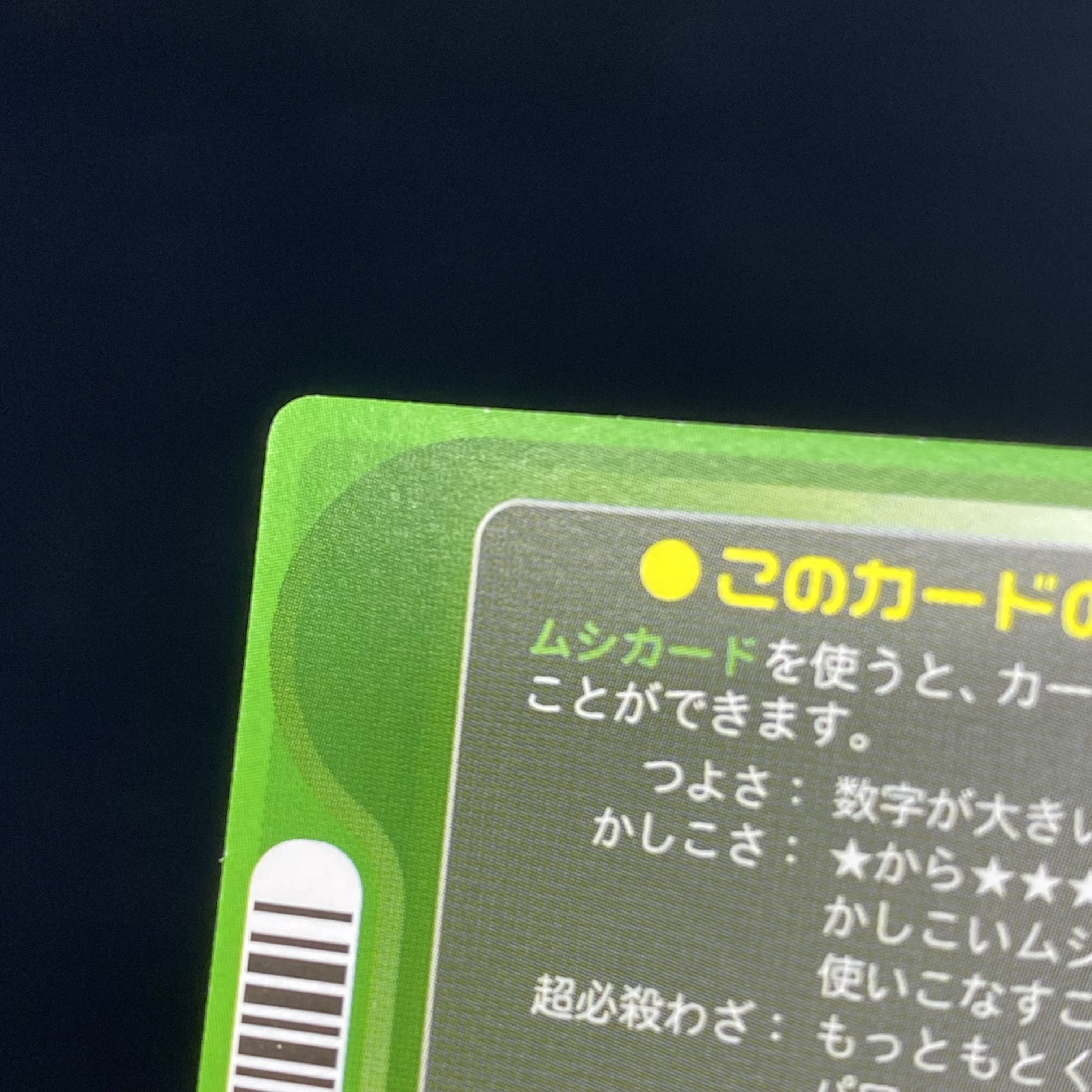 Elephas asiaticus stag beetle [location test]. 1枚