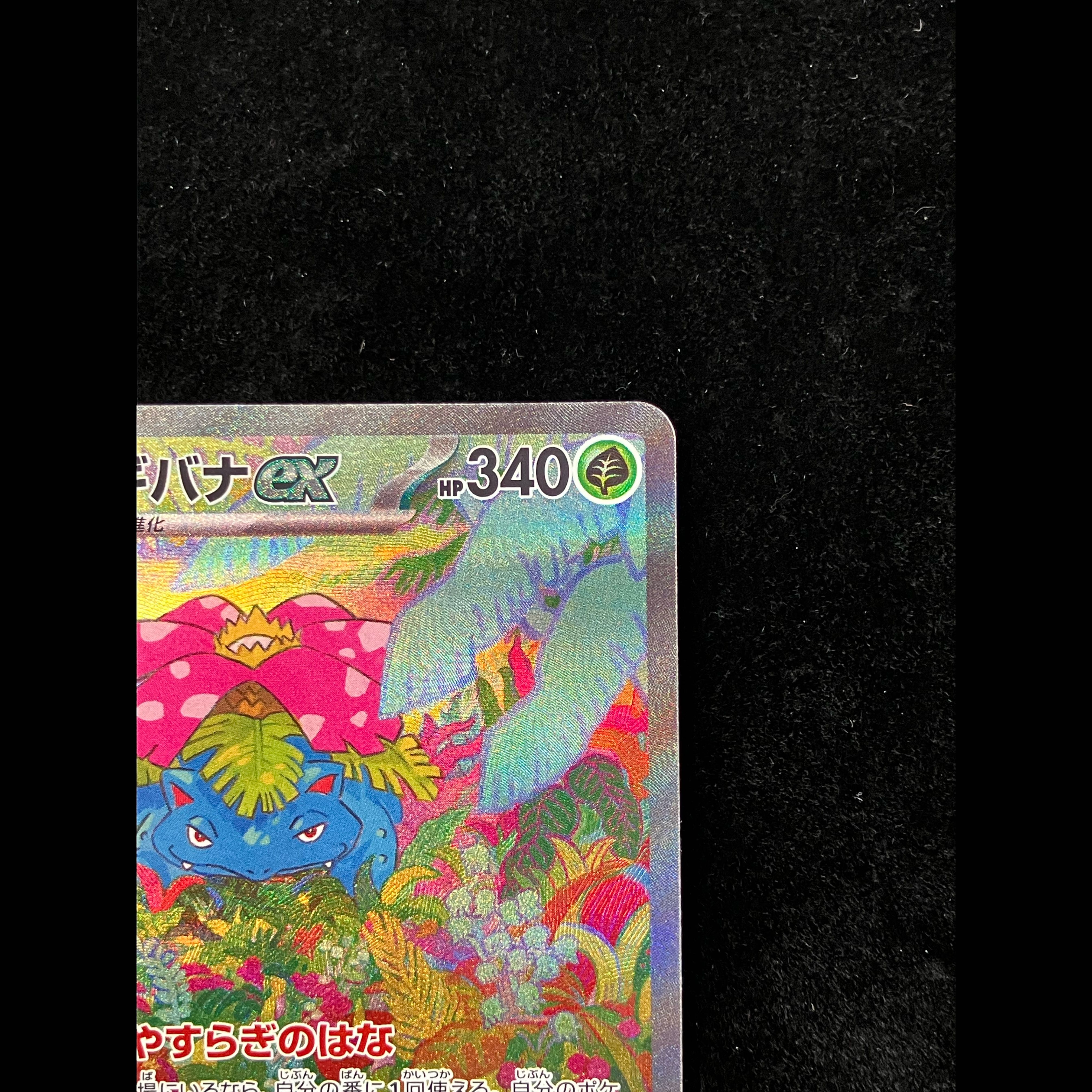 Venusaurex SAR 200/165 1枚