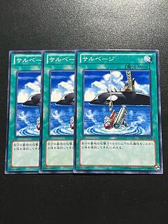 Yu-Gi-Oh Studio 3 copies Salvage Normal JP029