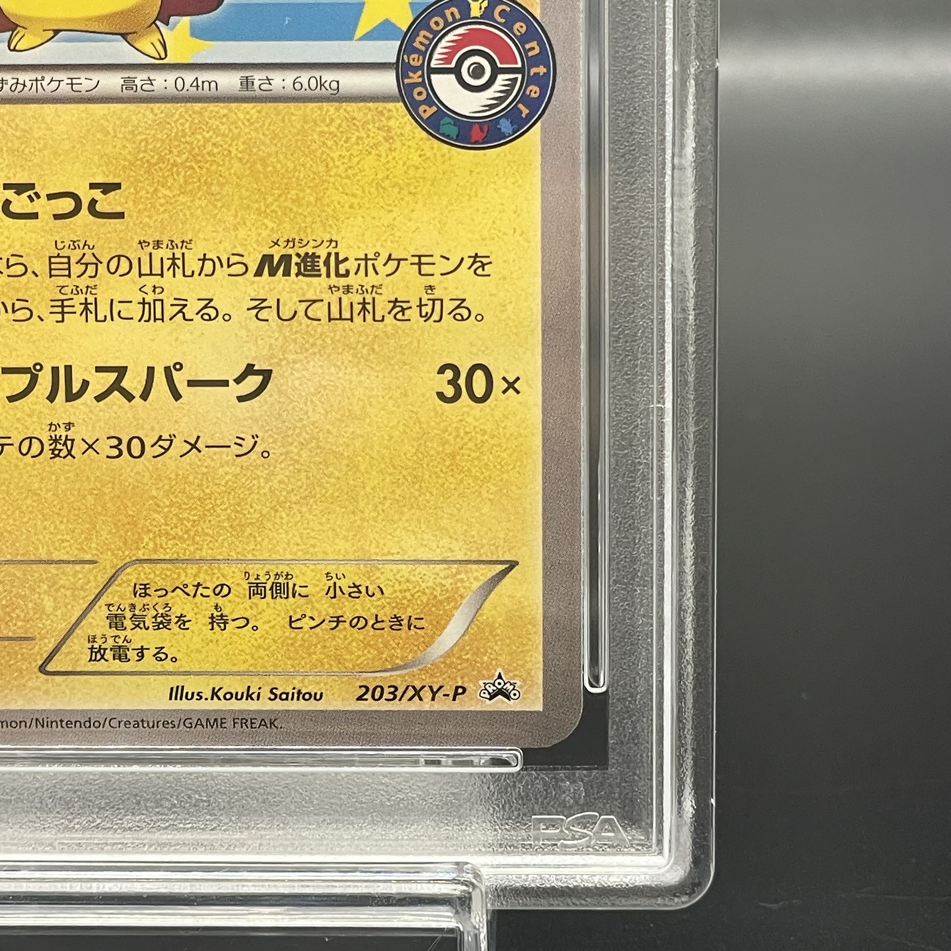 PSA10] Pikachu PROMO 203/XY-P in poncho