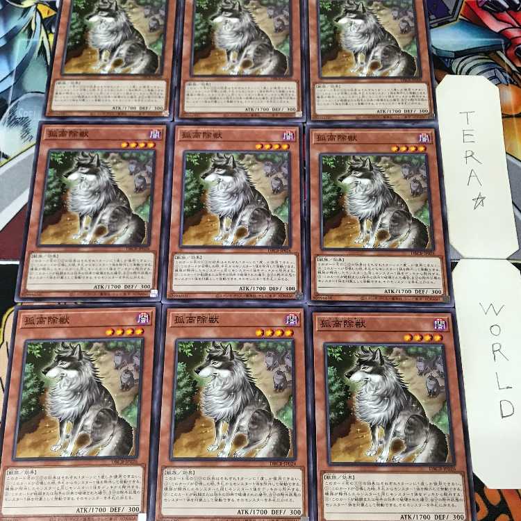 孤高除獣 DBCB 1 ノーマル 効果 9枚セット てら 9枚