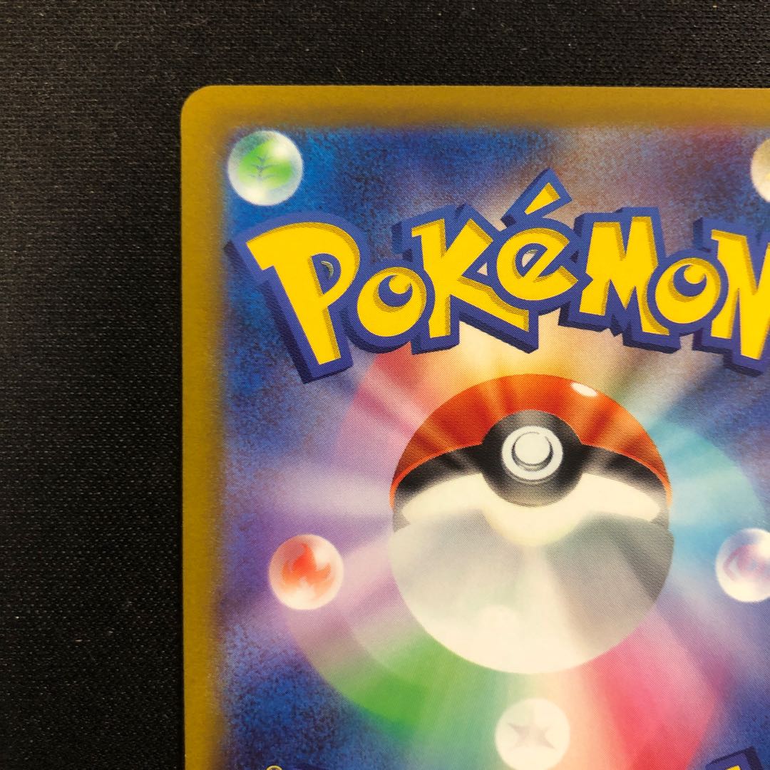 ザクロ SAR 238/172 1枚