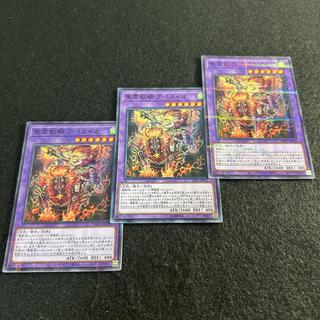 a2792 [Yu-Gi-Oh!] Holy Spirit Beast Rider Apeio 3-Card Set 3枚