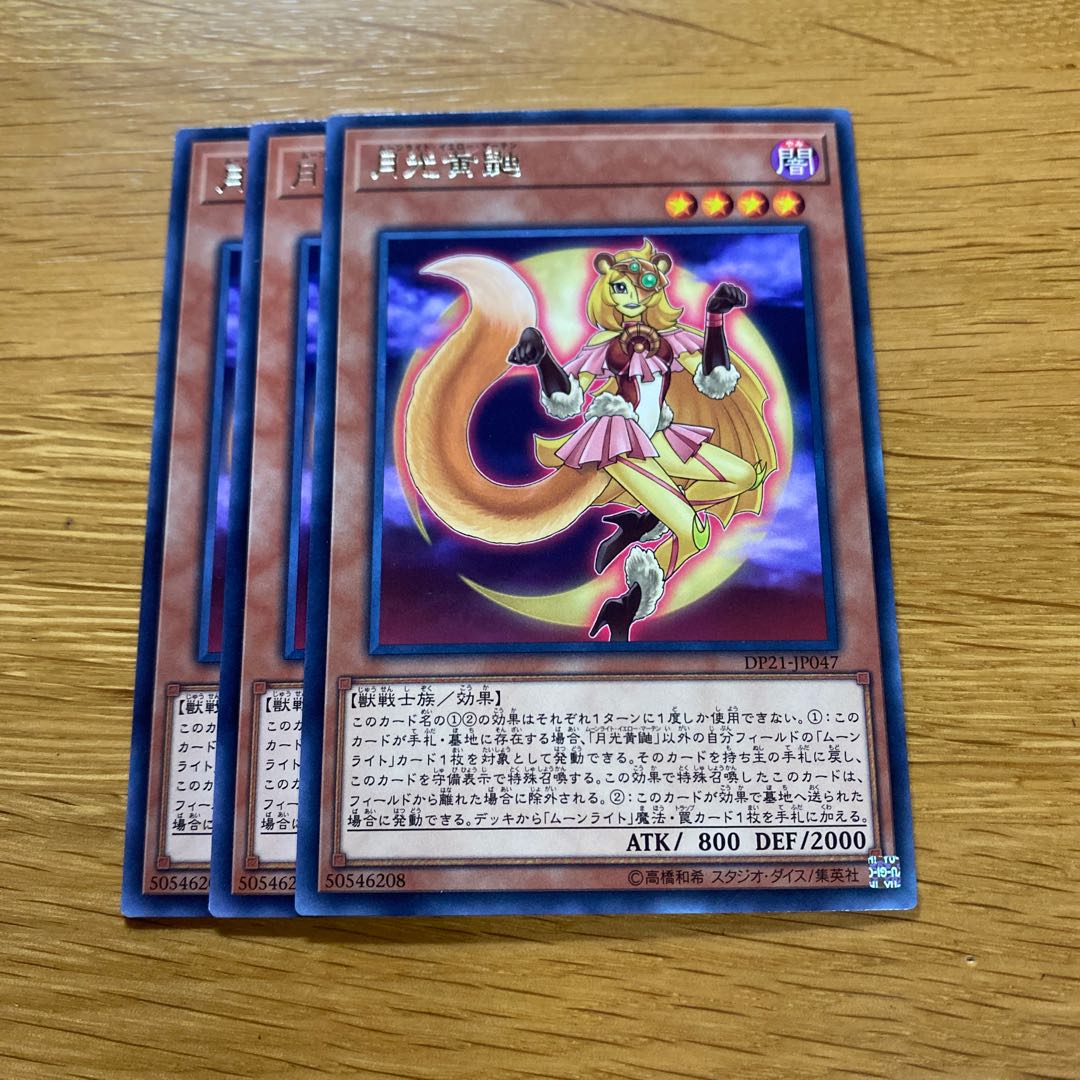 月光黄鼬 レア JP047