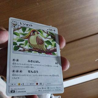 C Small Used 21-1/ Pidgeot 2018