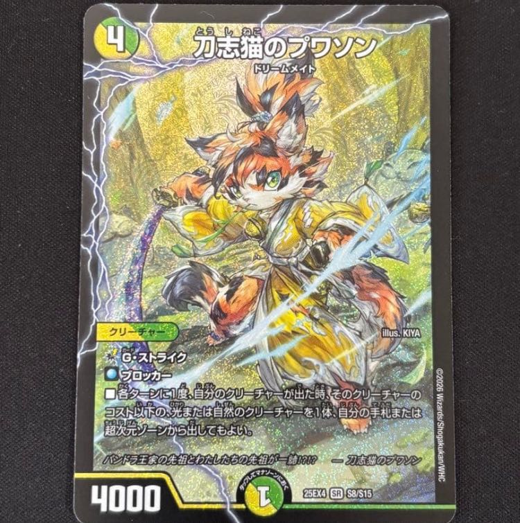 料理猫のプワソン VR 16/89 1枚