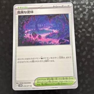 危険な密林 U 070/071