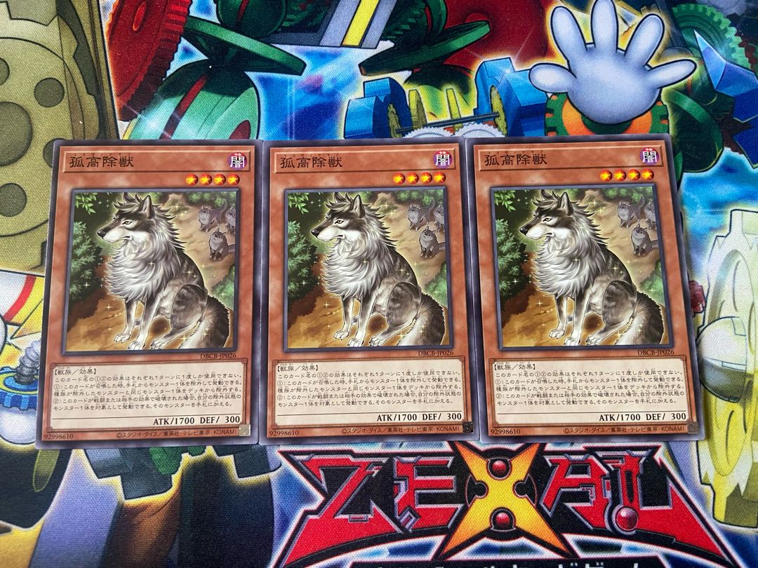 Y-3103 Aloof Lupine Normal DBCB-JP026