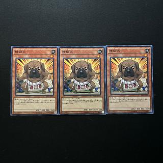 2588 横綱犬 ノーマル JP031