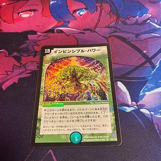 シビレアシダケ｜インビンシブル・パワー