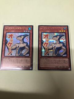 N・アクア・ドルフィン