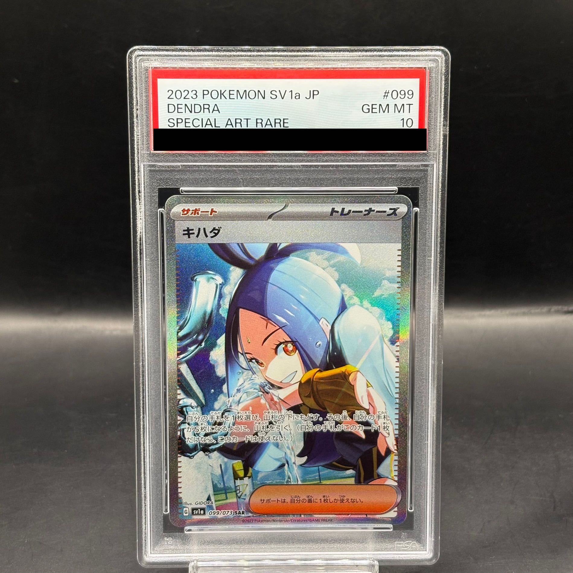 [PSA10] KIHADA SAR 099/073