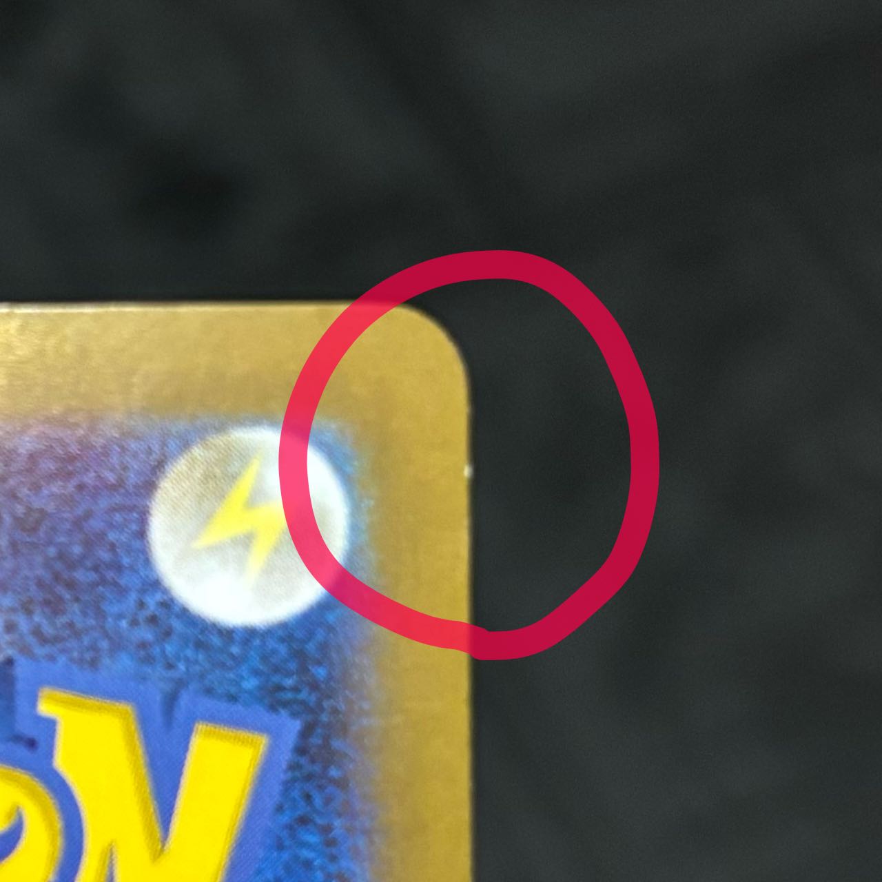 Zapdosex SAR 204/165 1枚