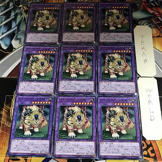 Amazoness Pet Liger 1 Normal Set of 9 Tera