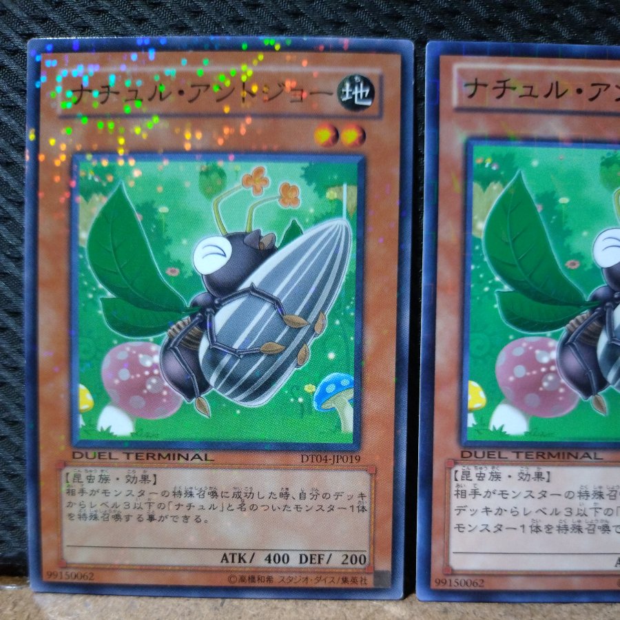 【ぽぽたん】遊戯王  3798  ナチュル・アントジョー ノーパラ  ２枚 2枚