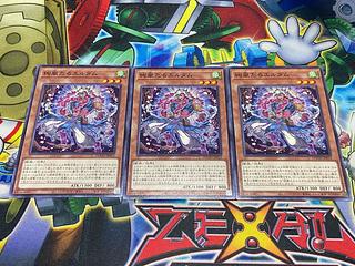 Y-3274 絢嵐たるエルダム ノーマル DOOD-JP013