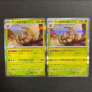 Anohoragusa (R spec.) 012/187