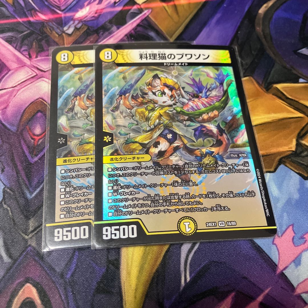 Cooking Cat Puisson VR 16/89