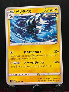 Rakurakudo] Pokeka Zebstrika