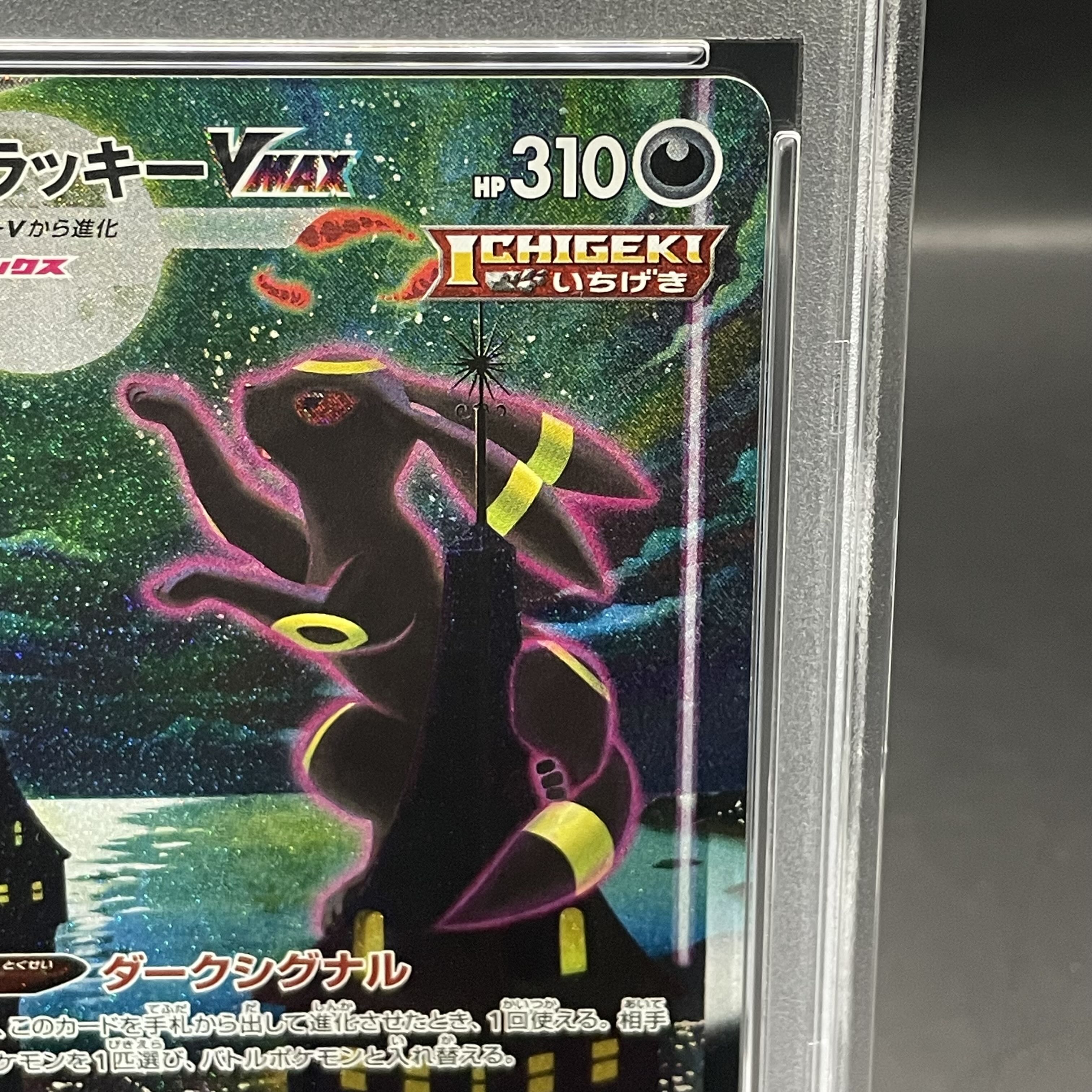 PSA10】ブラッキーVMAX HR 095/069の通販 土日祝休@magi公式