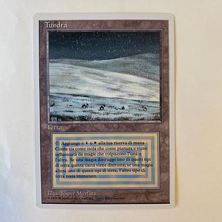 Tundra, 3ED, IT 1枚