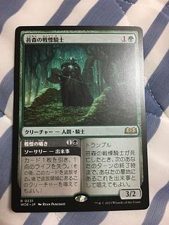Dread Knight of the Moss Forest Rare 231/0