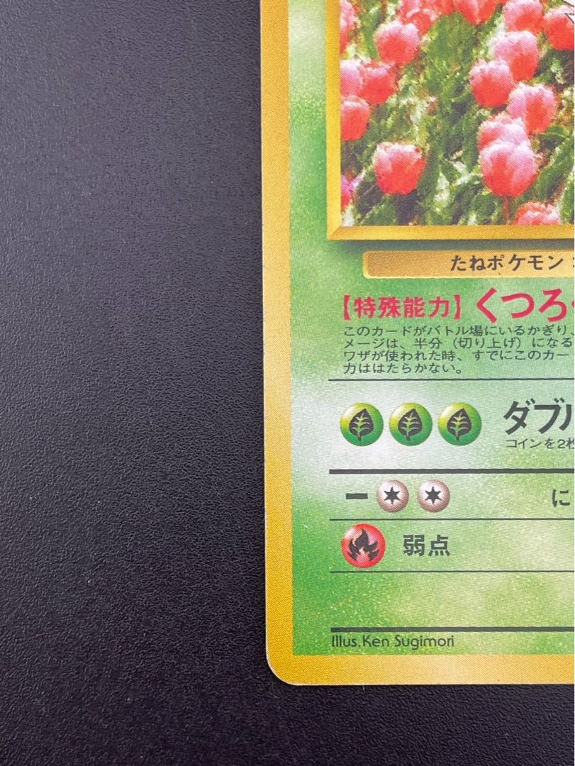 中古品】エリカのフシギソウ LV.22 No.002 PMCGシリーズ ジム