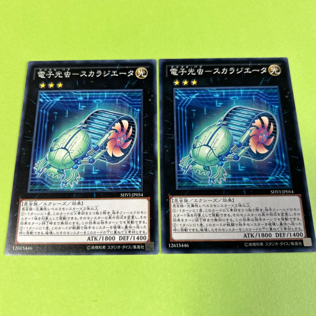 two sheets (pieces) (of paper) Electron light bug - SCARAGETA Normal JP054