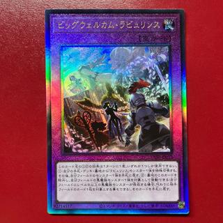 Listing Exclusively for Blank Kara 1枚